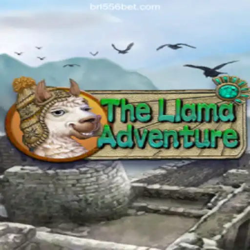 The Llama Adventure Meets 556bet.COM: A Thrilling Journey